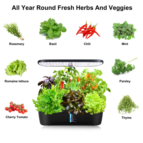 12 Pods Hydroponics Growing System + Free Shipping